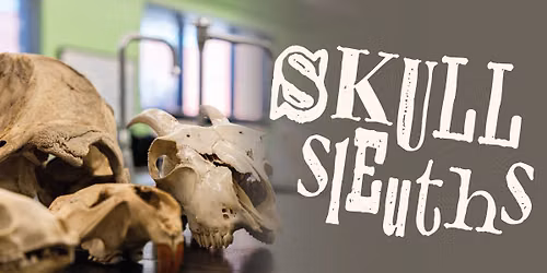 Skull Sleuths
