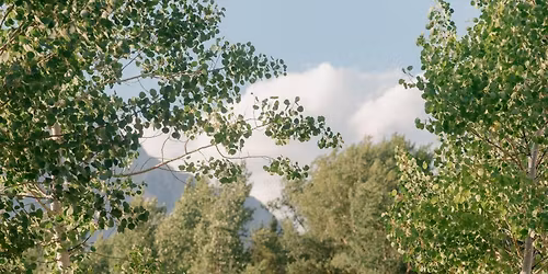 IN A LANDSCAPE: Classical Music in the Wild\u2122