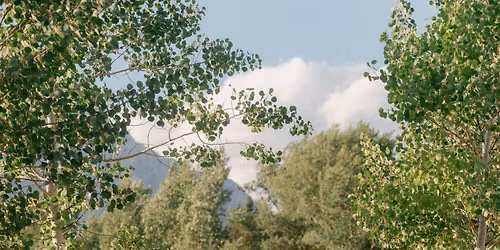IN A LANDSCAPE: Classical Music in the Wild\u2122