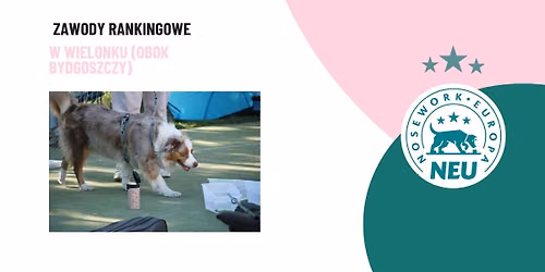 Zawody Rankingowe Nosework Europa w Wielonku (obok Bydgoszczy)