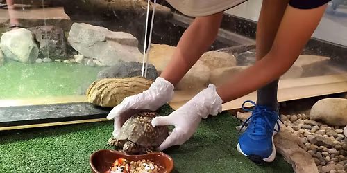 SOLD OUT | Wildlife Care Apprentices (Ages 10-15)