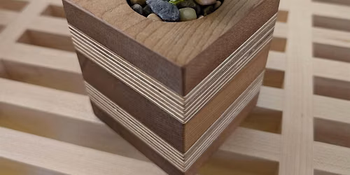 Build a Decorative Succulent Planter