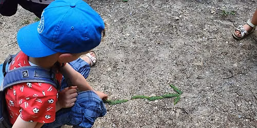 SOMMER 2026: KiGa-OutdoorCamp "Peppa Wutz -Abenteuer im Wald!"  | 6.FeWo