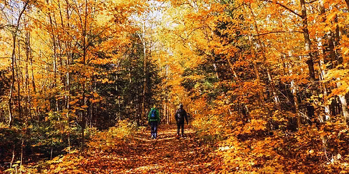 Thanksgiving Weekend Fall Hike and Campout Shelby Forest State Park