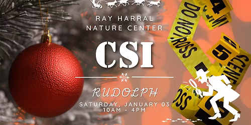 CSI - Rudolph
