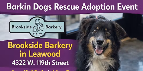 Barkin Dogs Rescue at Brookside Barkery 