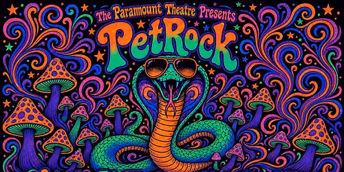 PetRock: The 70's Experience