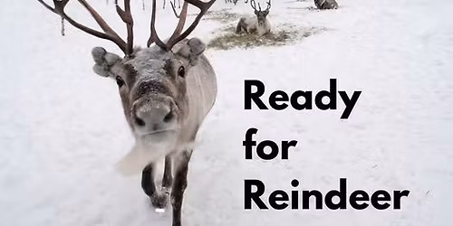 Ready for Reindeer!