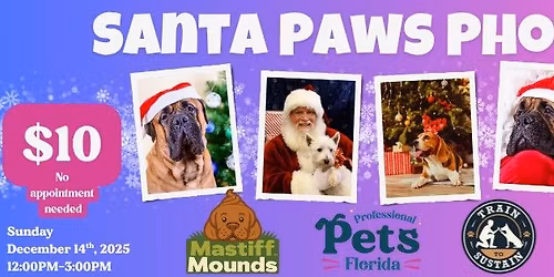 Santa Paws Photos