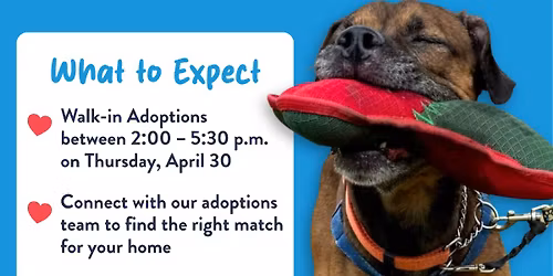 Same-Day Adoption Event at HSOMH