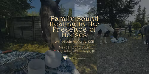 Family Sound Healing in the Presence of Horses