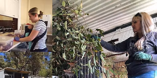 Volunteer information Session