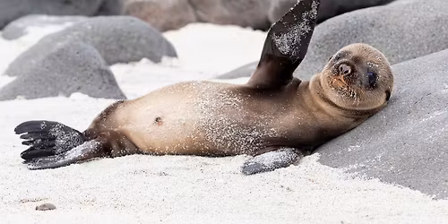 TREASURES OF ECUADOR AND THE GALAPAGOS