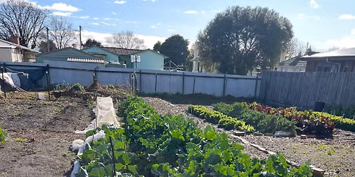 The Farm Next Door Hangout and Working Bee