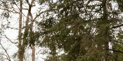 Lenard and Kendra's pre-wedding social