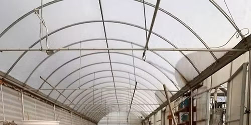 Small Business Saturday