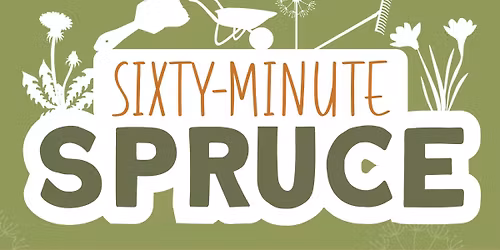 Sixty-Minute Spruce in Fremington (take down Poppy Display and install Christmas Lights)