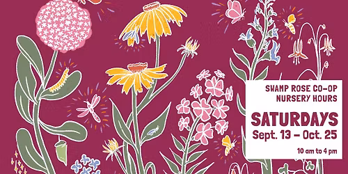 Swamp Rose Co-op Fall Nursery Hours