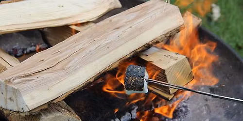 Stars, Stories, & Smores @ Dan Ryan Woods