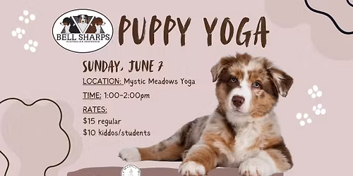 Aussie Puppy Yoga