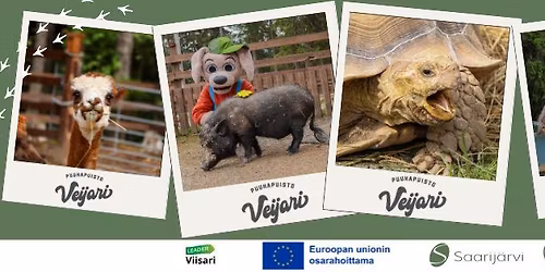 Lemmikkip\u00e4iv\u00e4 Puuhapuisto Veijarissa \ud83d\udc36\ud83d\udc39\ud83d\udc30\ud83d\udc14