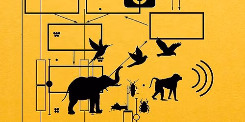 Machine Listening \u2013 Environmentality