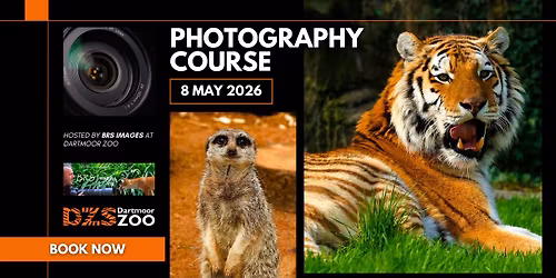 DZS Photography Course!