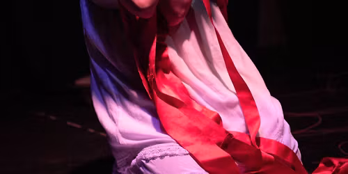 Cercles Carmins ou les trois sph\u00e8res du sang