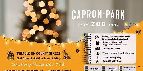 Miracle on County St. 3rd Annual Holiday Tree Lighting