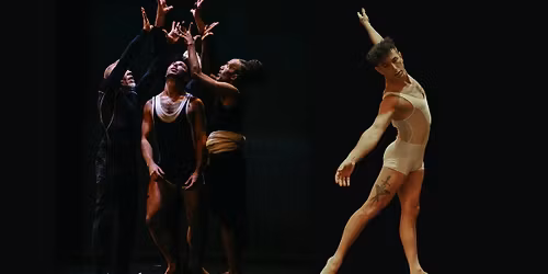 Pioneer Winter Collective - Apollo