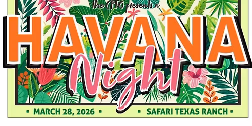 Havana Night