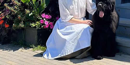 The Original Ship\u2019s Dog: The Newfoundland in the 19th Century