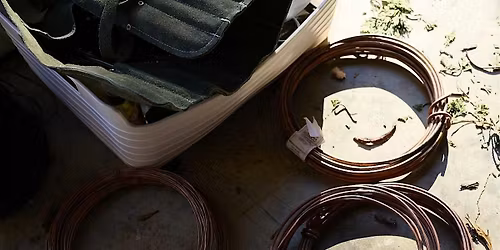 Bonsai 101: Introduction to the Art of Bonsai