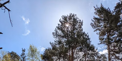 Mindful Mondays - Wellbeing Walk