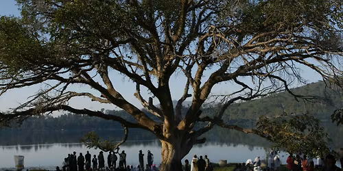 Chester Higgins in Conversation with Diana McClure