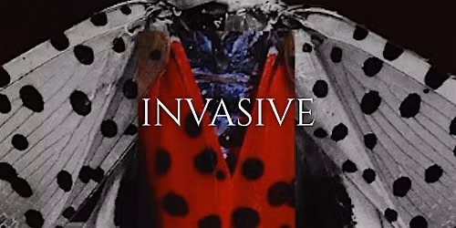 Invasive