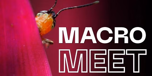 Macro Meet Bengaluru