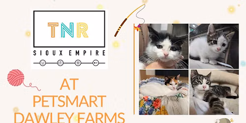 Love at First Meow: Adoption Meet & Greet