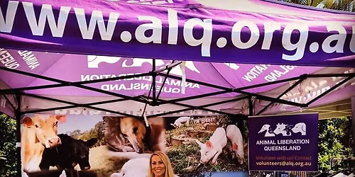 AnimalKIND Volunteer Hub - September