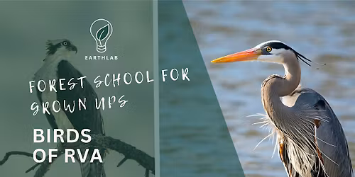 Forest School for Grown Ups: Birds of RVA