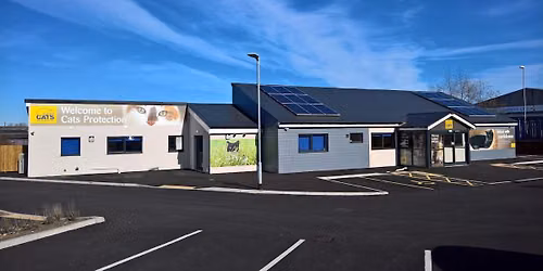 Tyneside Cat Centre Summer Open Day