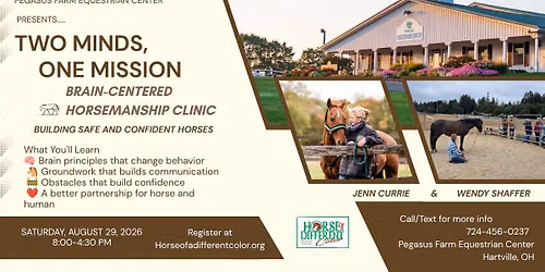 Two Minds, One Mission: Building SAFE and Confident Horses w\/Brain-Centered Horsemanship CLINIC