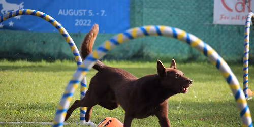 CanMove cup II