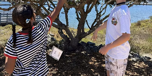 Bay Health Walk at Jack Dunster Marine Reserve | Clean Bay Collective