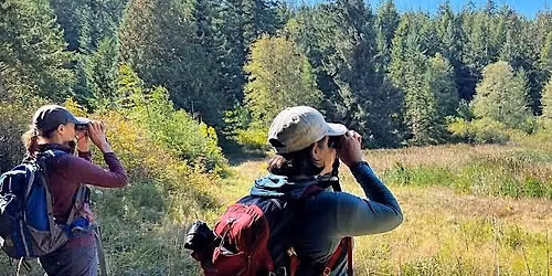 Migration Madness Bird Walks