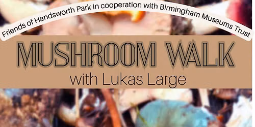 Fungi Foray - Mushroom Walk 