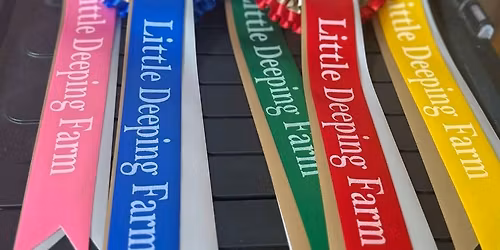 fun show and show jumping sunshine tour qualifier