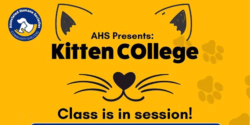 Kitten College: Kitten Foster Education Session