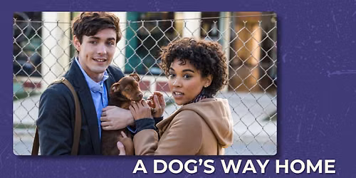 Stardust Movies - A Dog's Way Home