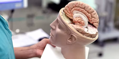 Strokovno sre\u010danje 14. Kognitivni dan - Od staranja mo\u017eganov do mo\u017enosti zdravljenja